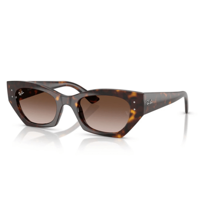 RayBan