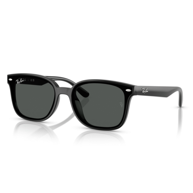 RayBan