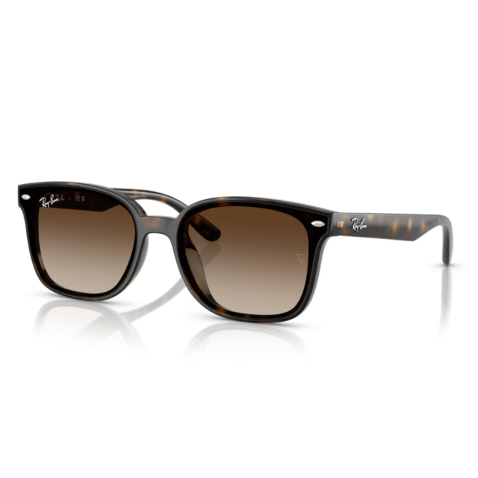 RayBan