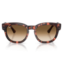 RayBan