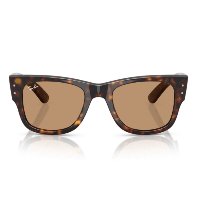 RayBan