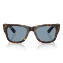 RayBan
