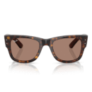 RayBan