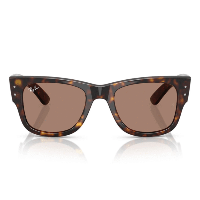 RayBan