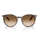 RayBan