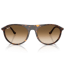 RayBan
