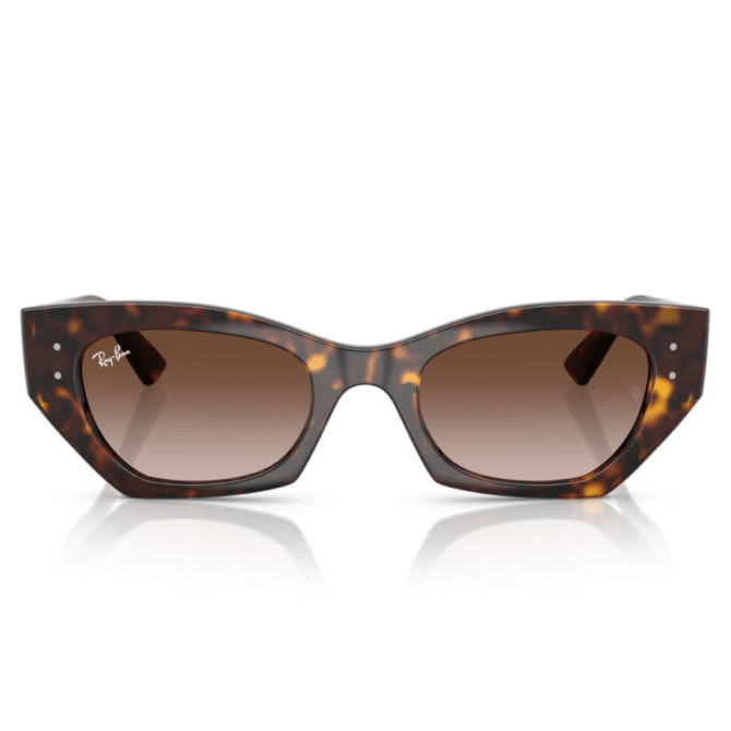 RayBan