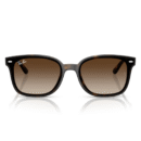 RayBan