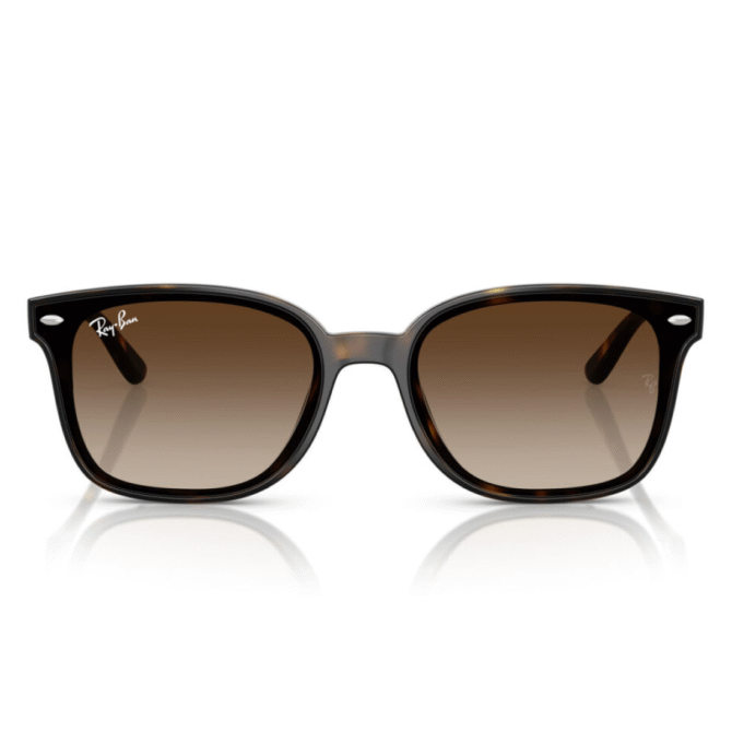 RayBan