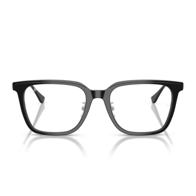 RayBan