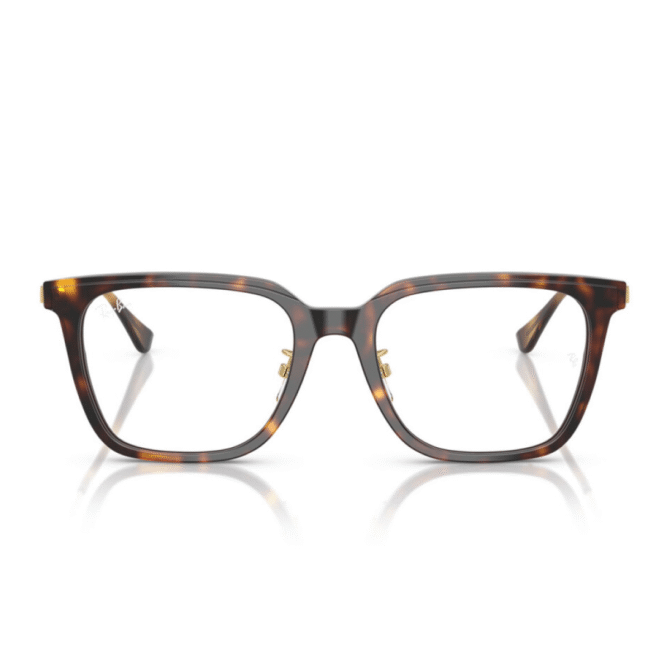 RayBan