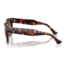 RayBan