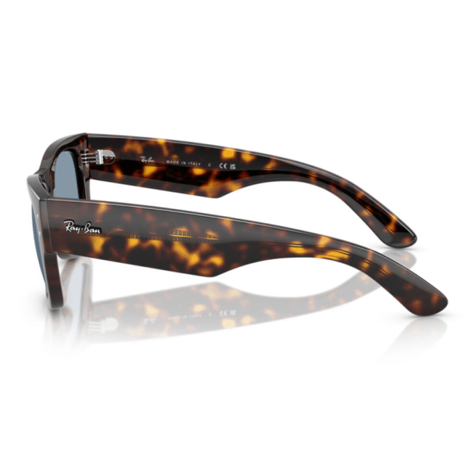 RayBan