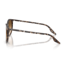 RayBan