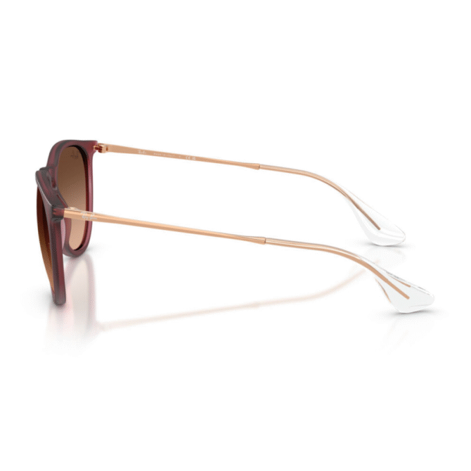 RayBan