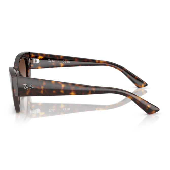 RayBan