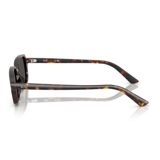 RayBan