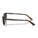 RayBan