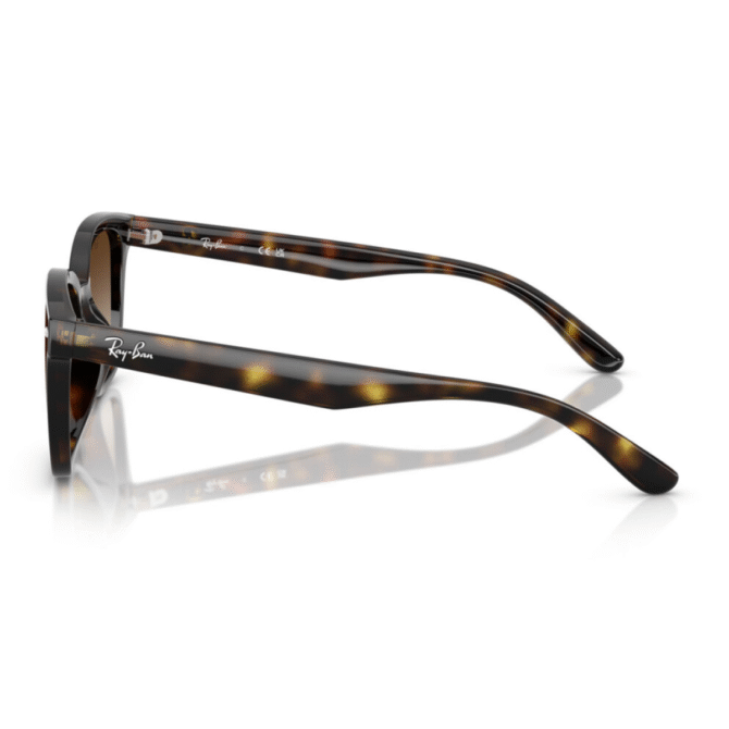 RayBan