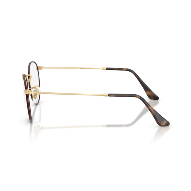 RayBan