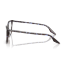 RayBan