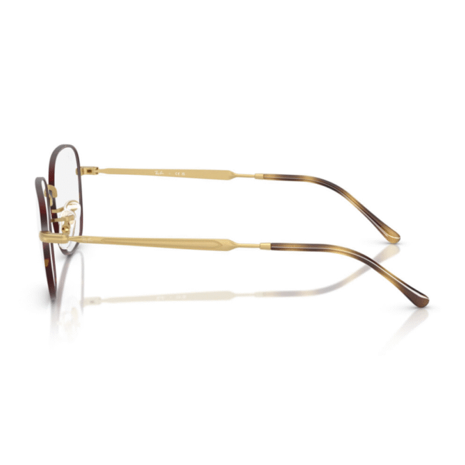 RayBan