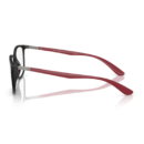 RayBan