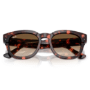 RayBan