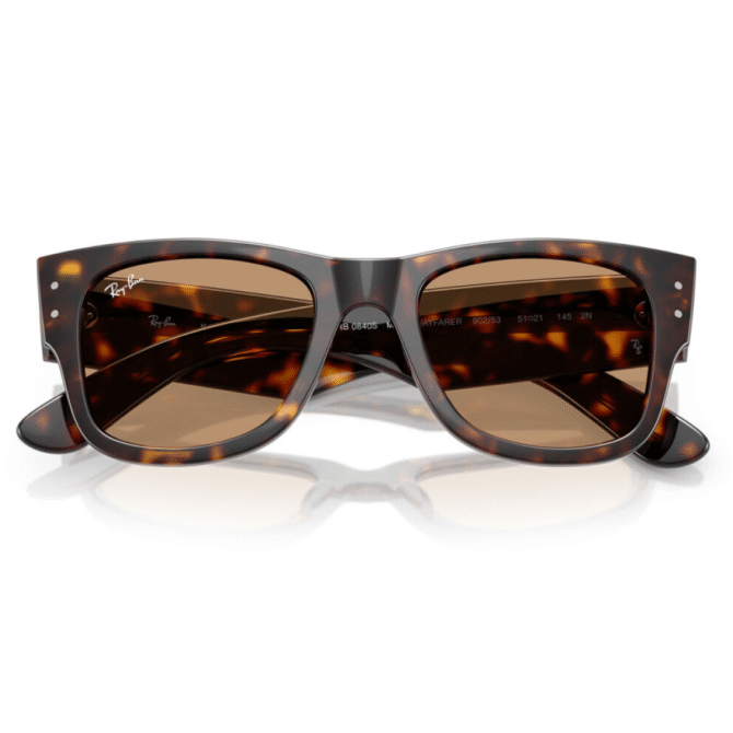 RayBan