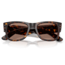 RayBan