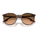 RayBan