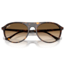 RayBan