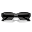 RayBan