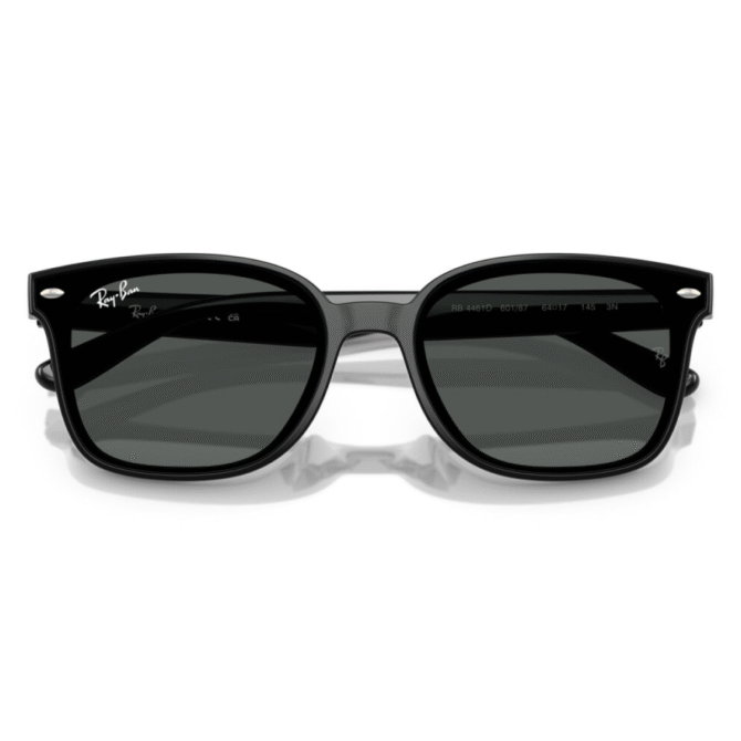 RayBan