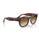 RayBan