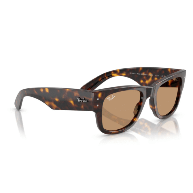 RayBan