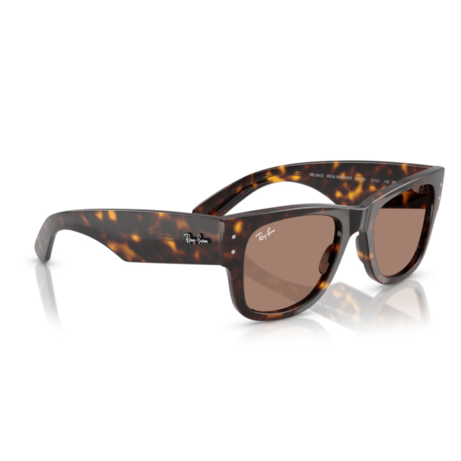 RayBan