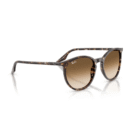 RayBan