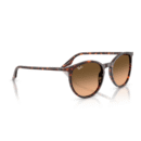 RayBan
