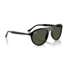 RayBan