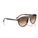 RayBan