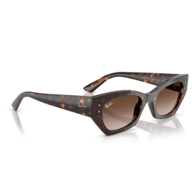 RayBan