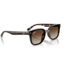 RayBan
