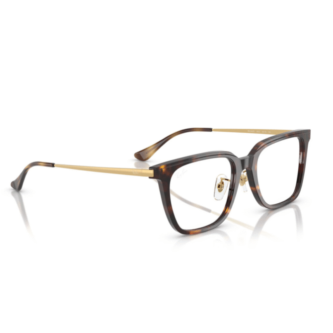 RayBan