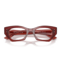RayBan