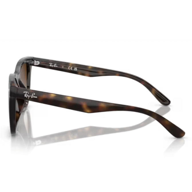 RayBan