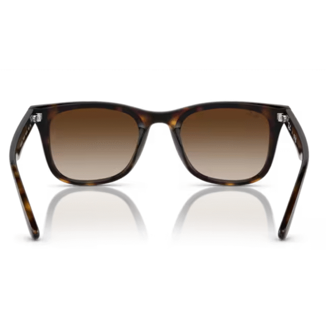 RayBan