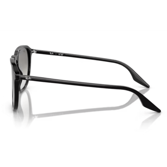 RayBan