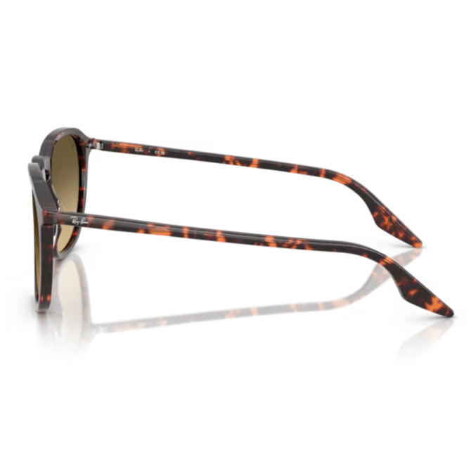 RayBan