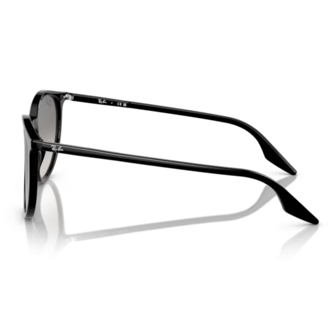 RayBan